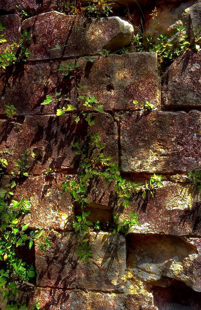 Le vieux mur