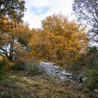 Le vieux mur en automne