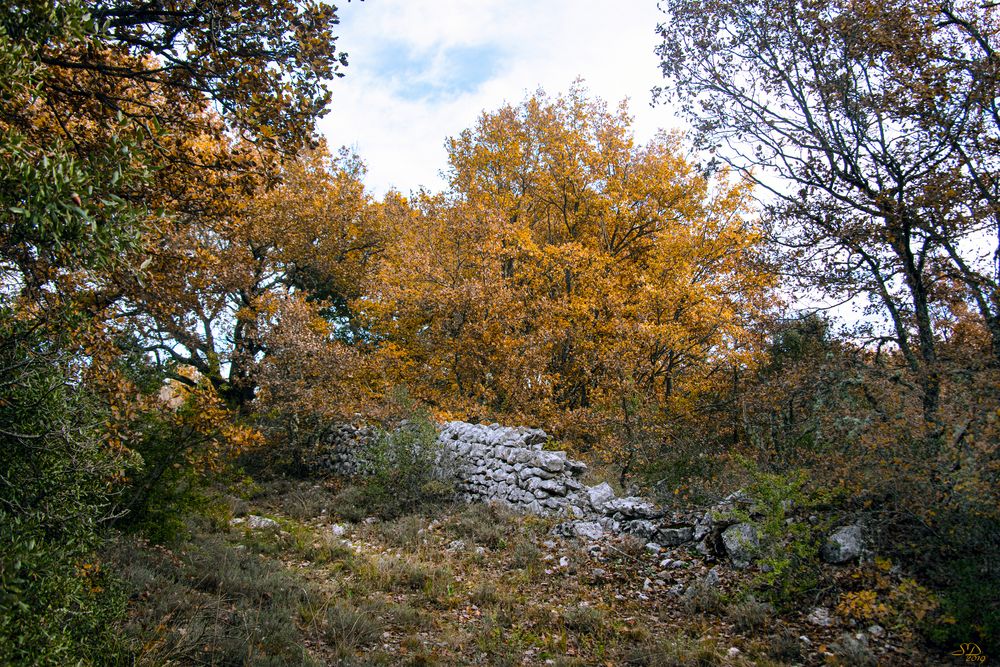 Le vieux mur en automne