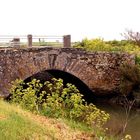 Le vieux pont