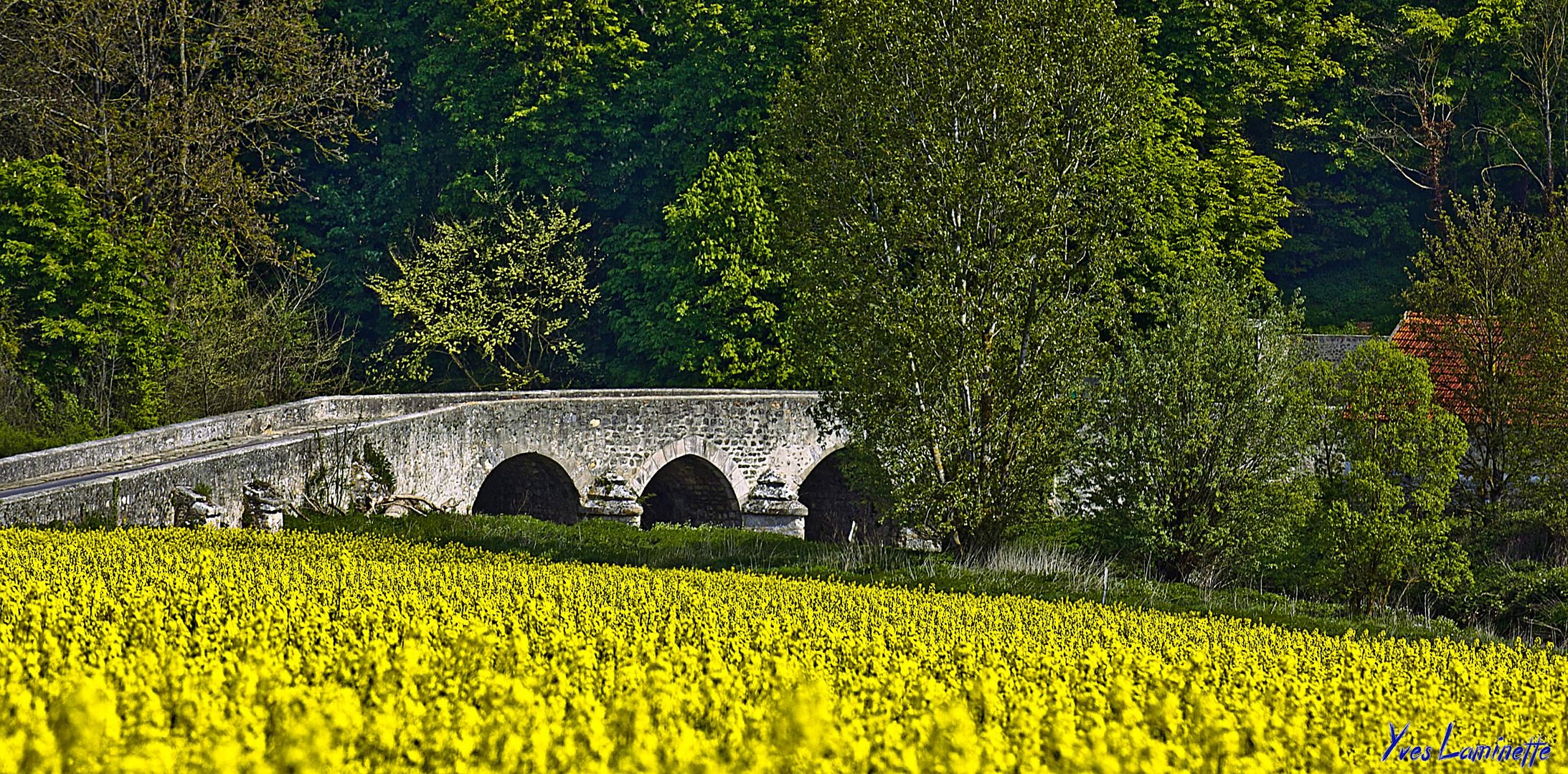 Le vieux pont 