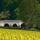 Le vieux pont 