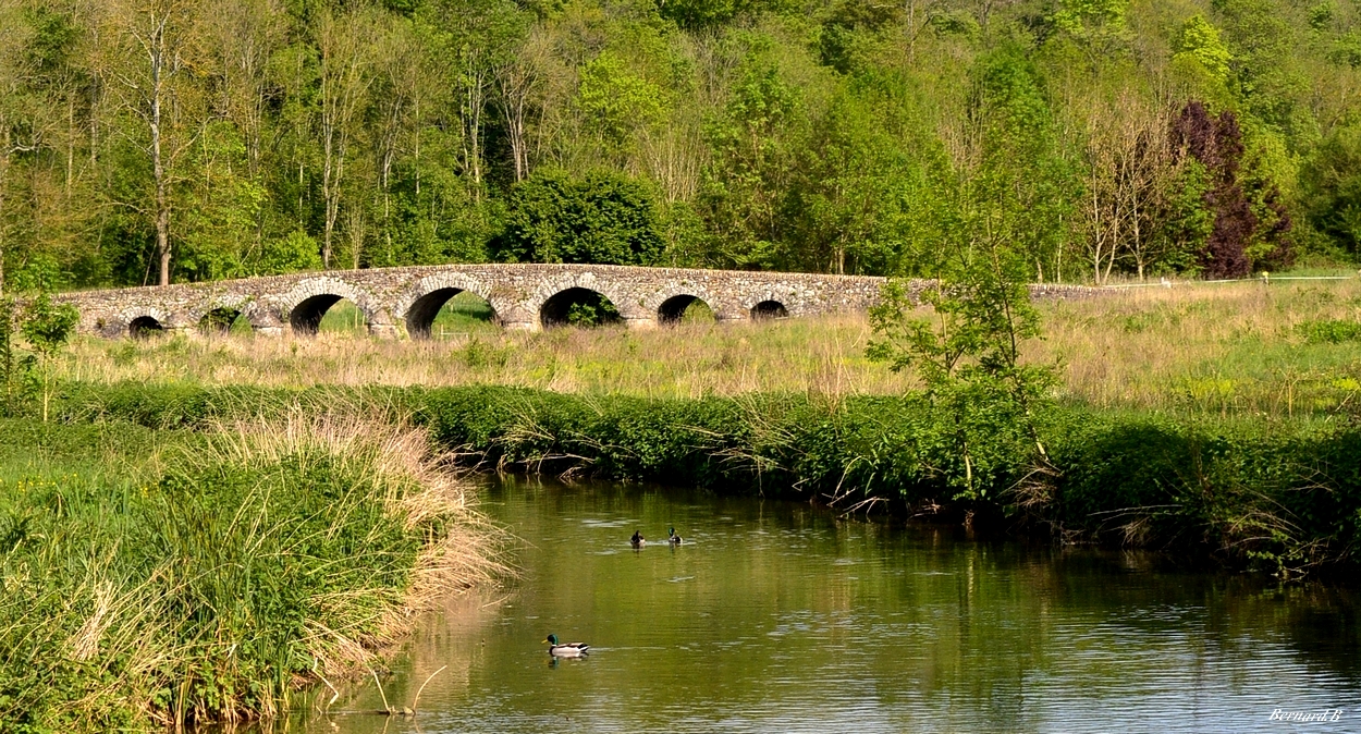 Le vieux pont