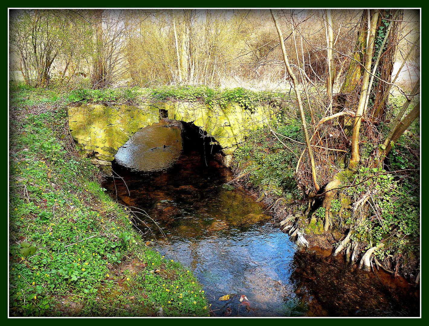 LE- VIEUX - PONT