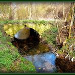 LE- VIEUX - PONT