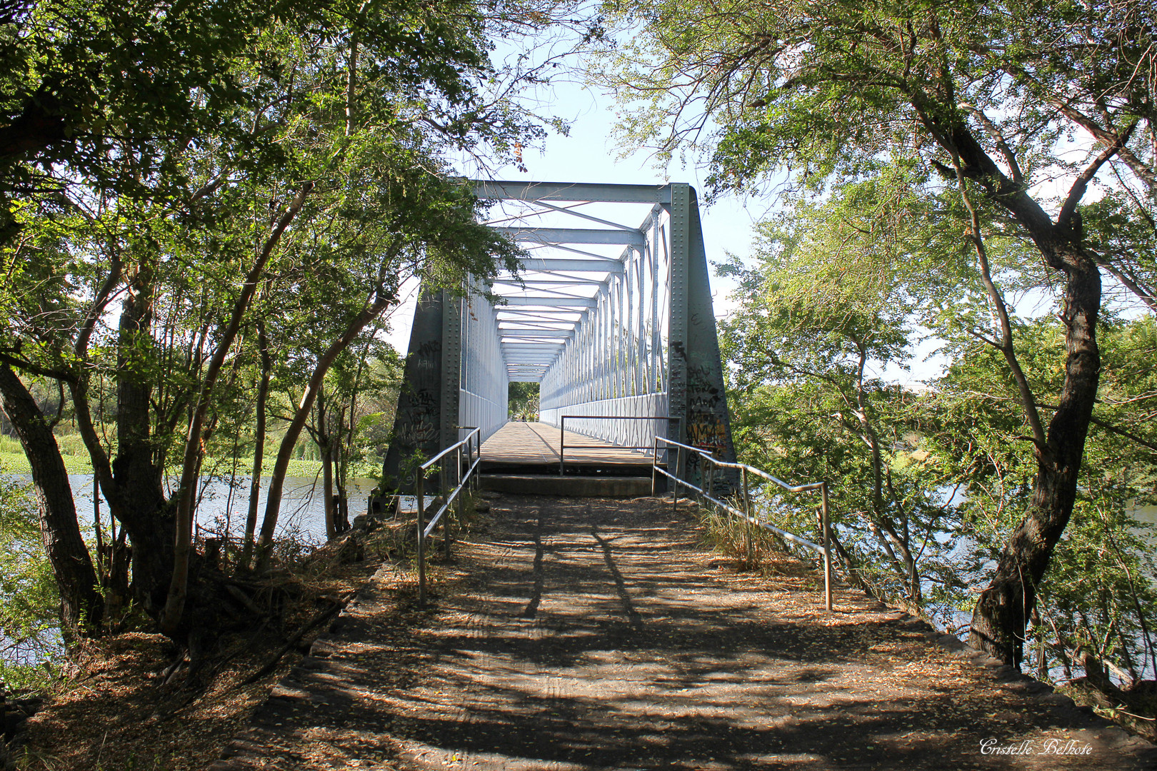 Le vieux pont de l'étang