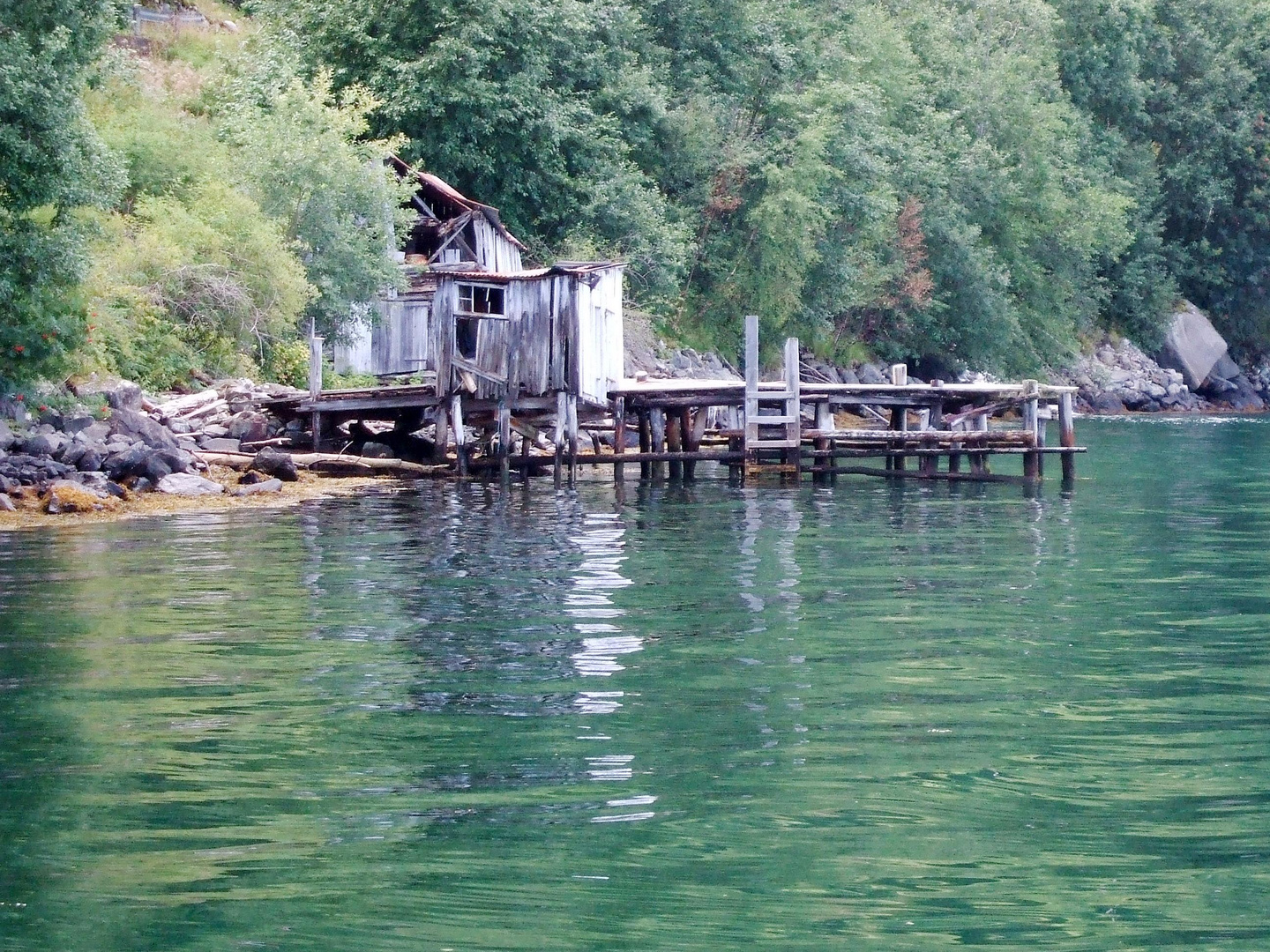 le vieux ponton en bois