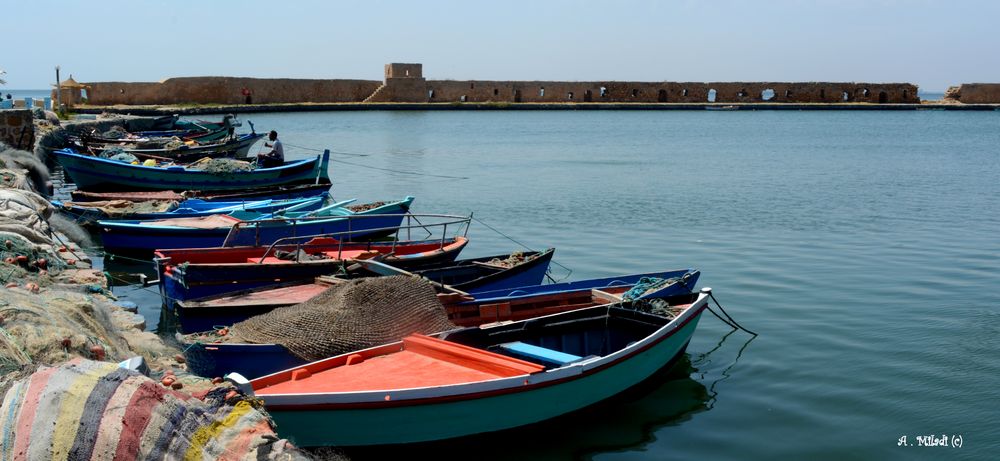 Le vieux port de Ghar el Melh