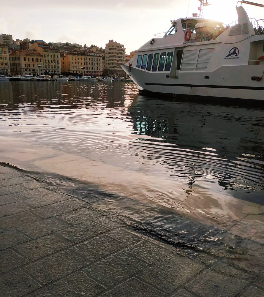 Le Vieux-Port déborde...