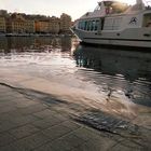 Le Vieux-Port déborde...