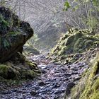 Le vieux sentier