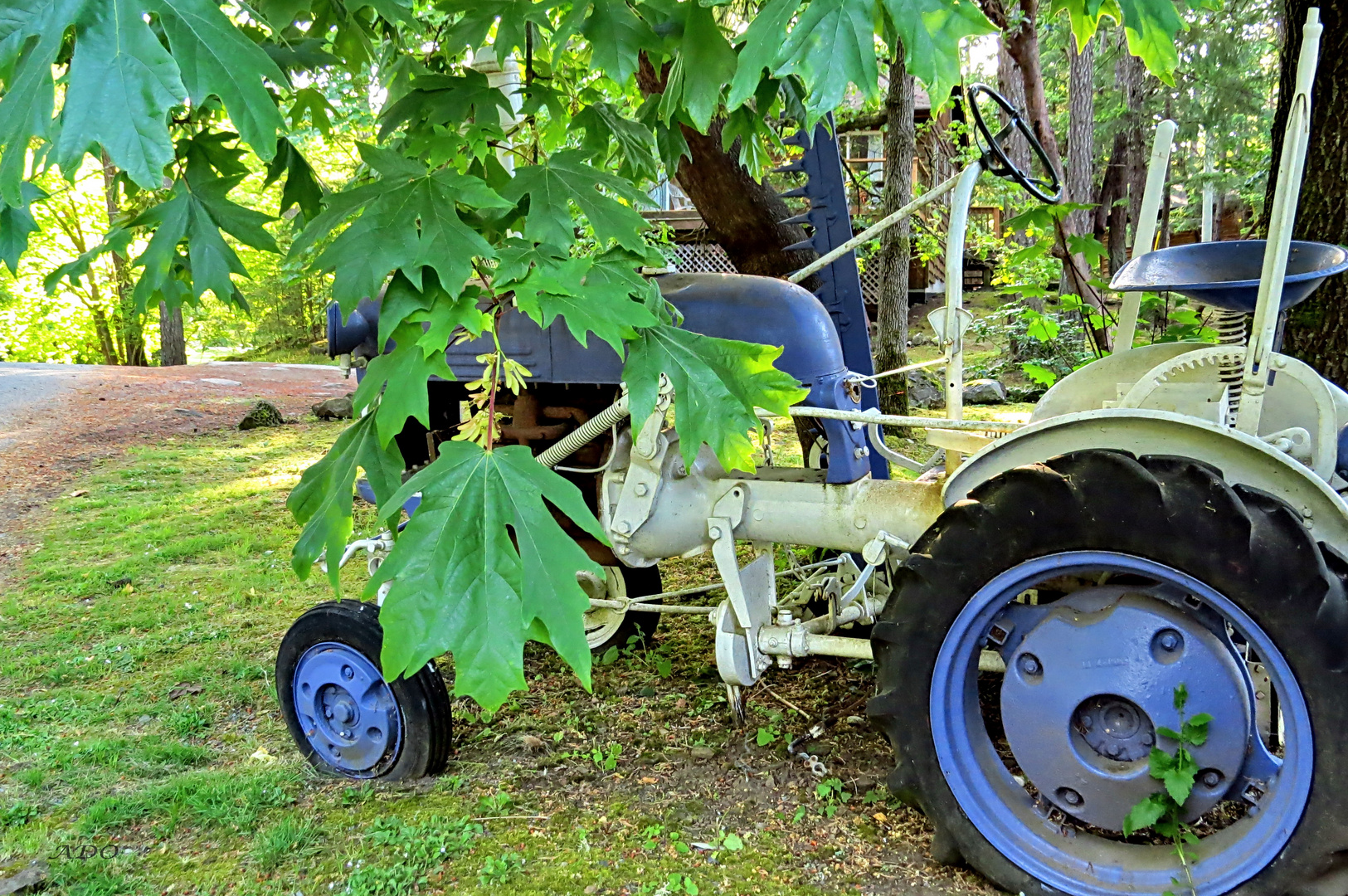 le vieux tracteur bleu