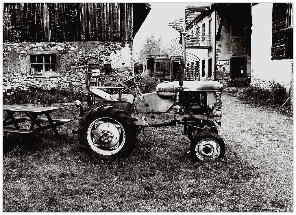 Le vieux tracteur du Vivarium