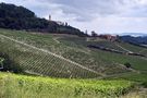 Le vigne del Monferrato di roberto aquari 