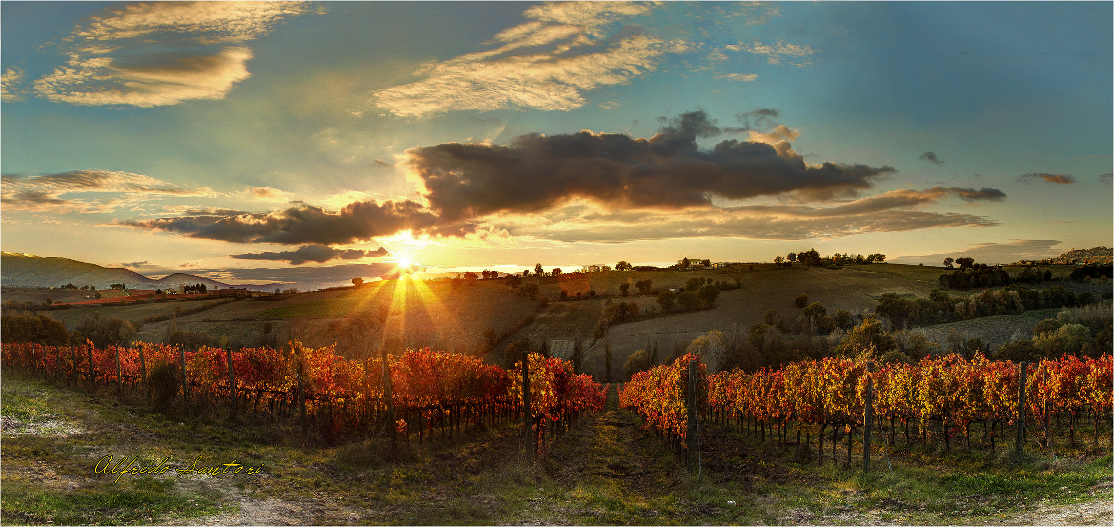 Le vigne del Sagrantino