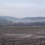 LE VIGNOBLE A BLANCHI