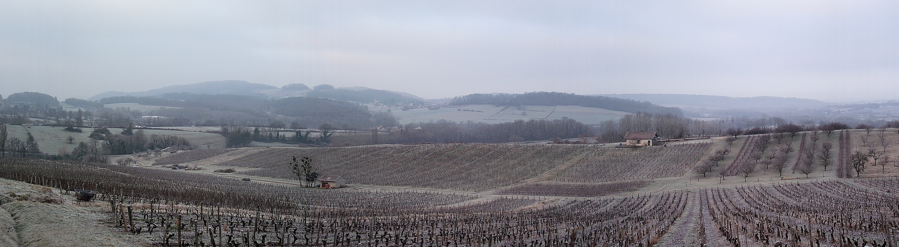 LE VIGNOBLE A BLANCHI