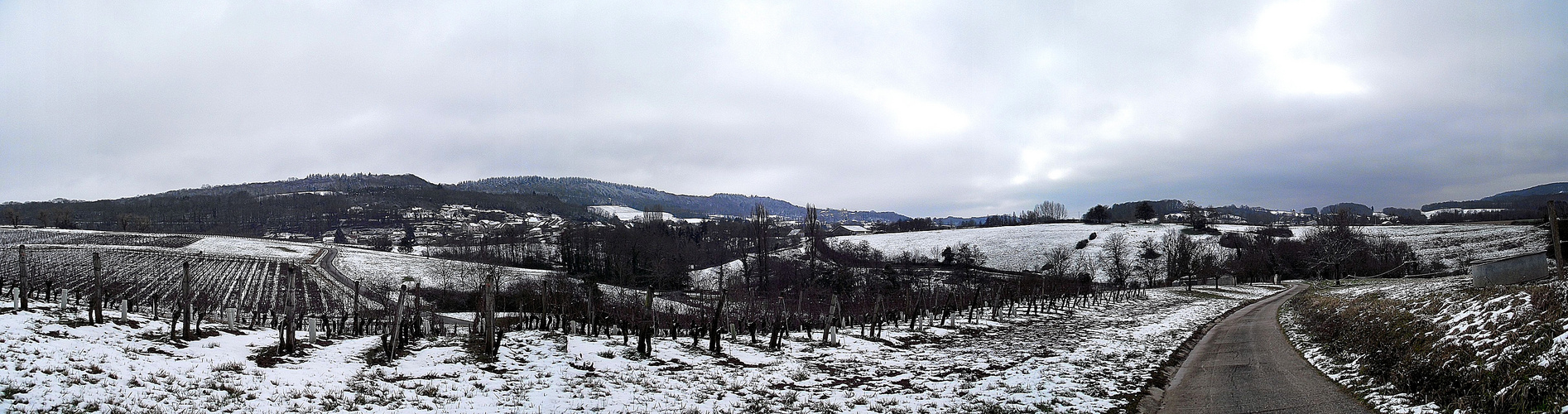 LE VIGNOBLE A BLANCHI