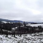 LE VIGNOBLE A BLANCHI