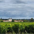 Le vignoble de Barsac