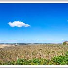 Le vignoble de Chablis