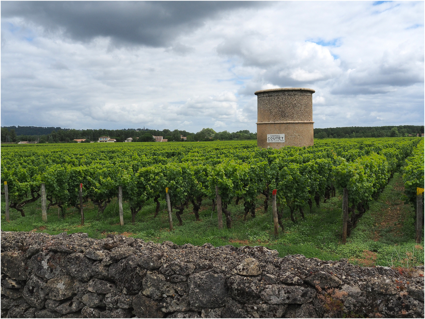 Le vignoble de Château Coutet à Barsac