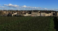 Le vignoble de l'échauguette.....