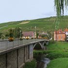 Le vignoble de Markelsheim domine la vallée de la Tauber  