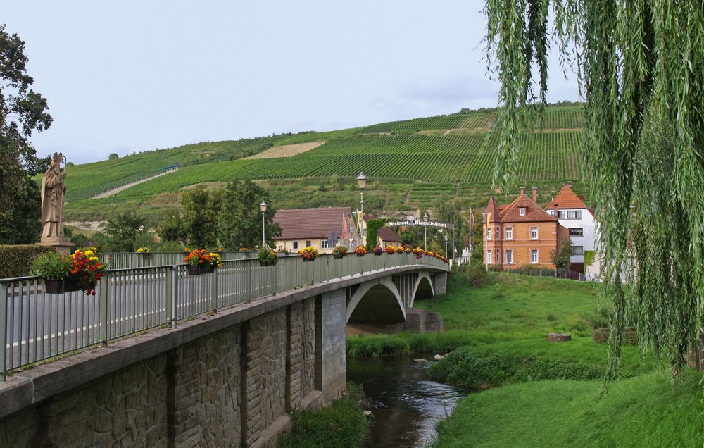 Le vignoble de Markelsheim domine la vallée de la Tauber  