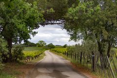 Le Vignoble de Vauvert  : Atelier du 22 - 06 - 2018 