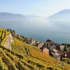 Le vignoble du Lavaux et le lac Léman ...