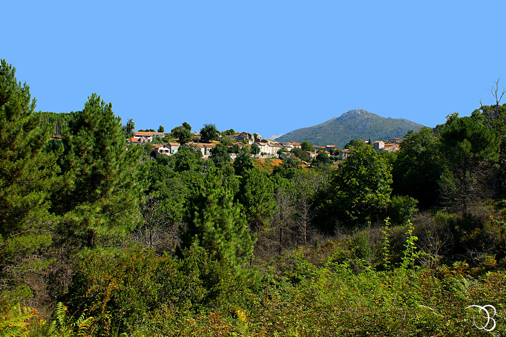 Le village de Fozzano.