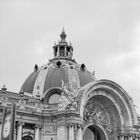 le visage du Petit Palais