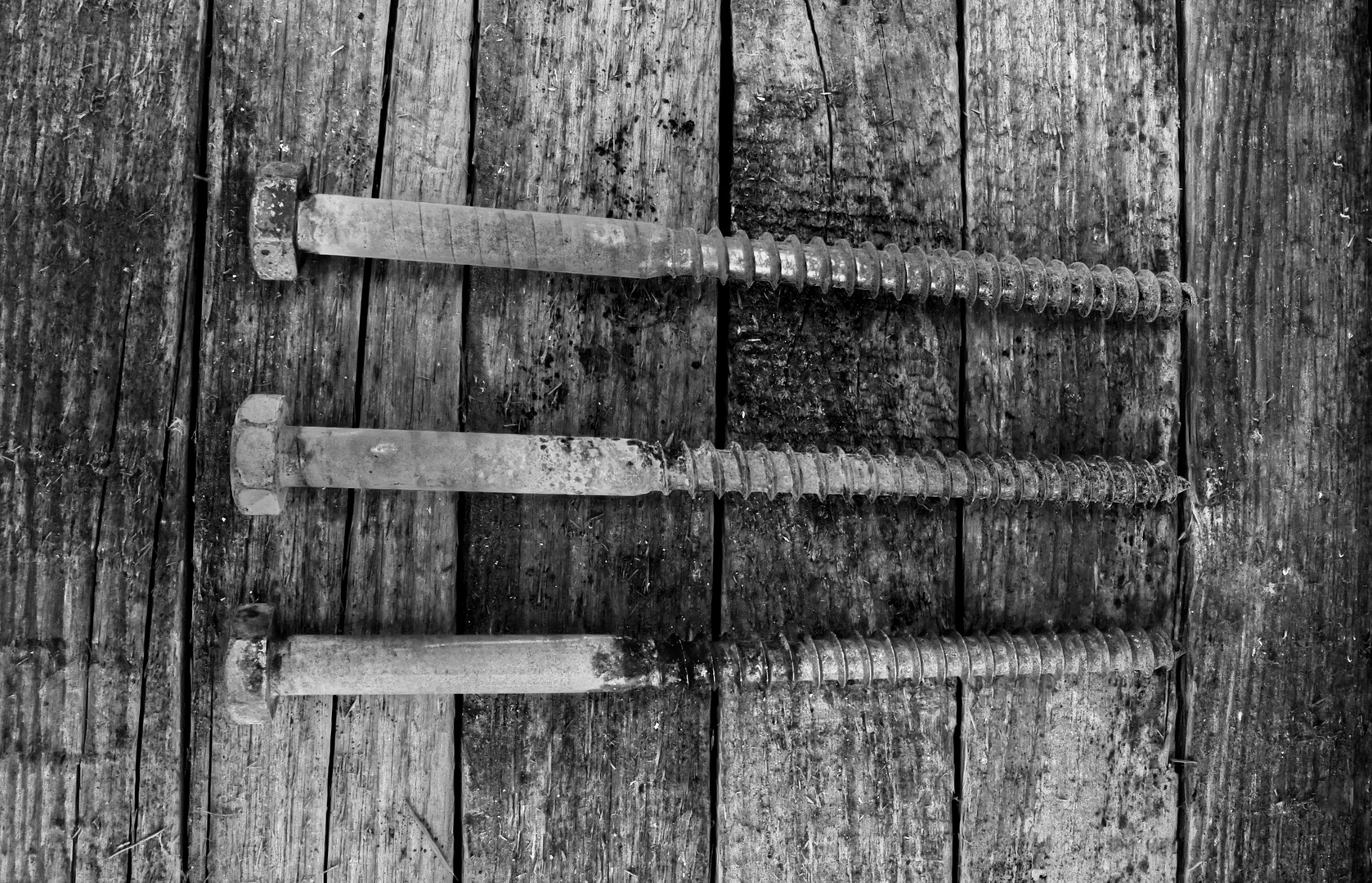 Le Viti Foto & Bild stillleben, industrie und technik, projekte