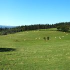 le Vivarais  avec le Mont Gerbier de Jonc 