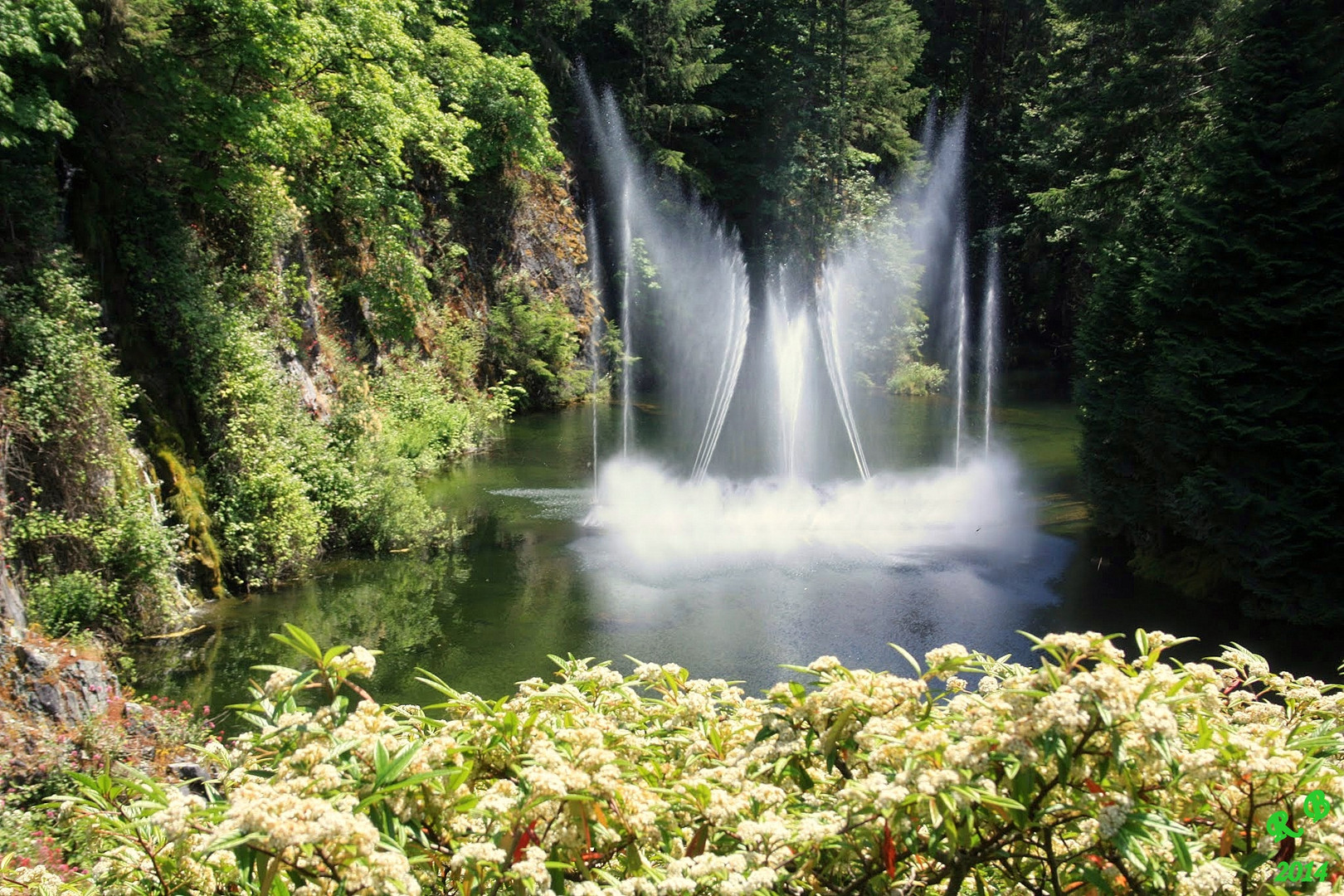 LE VOILE DE LA MARIÉE photo