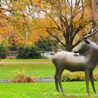 Le Wapiti de François-Xavier Lalanne dans le Parc Jayan  -  Agen