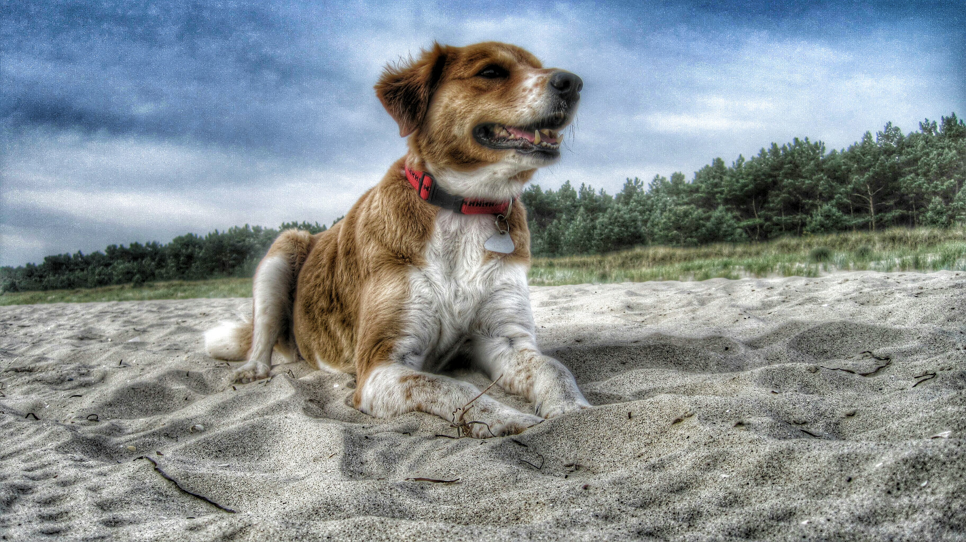 Lea am Strand von Trassenheide