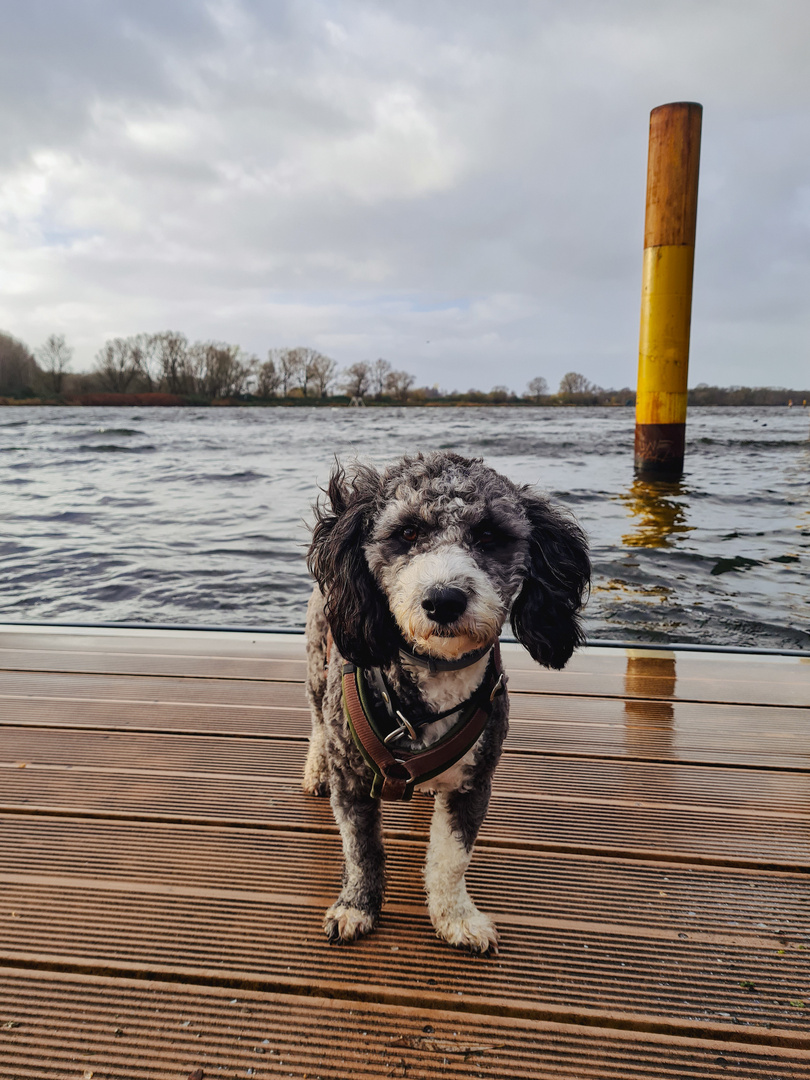 Lea an der Dove Elbe