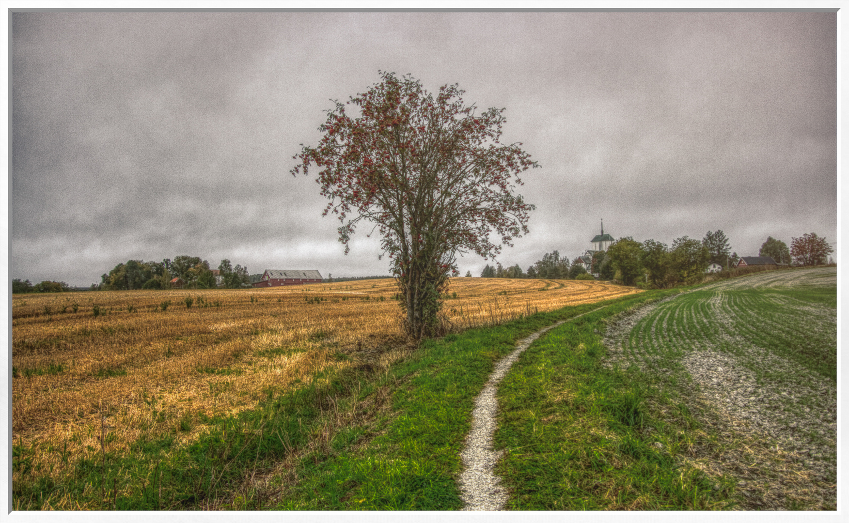 Leading Path by Tony