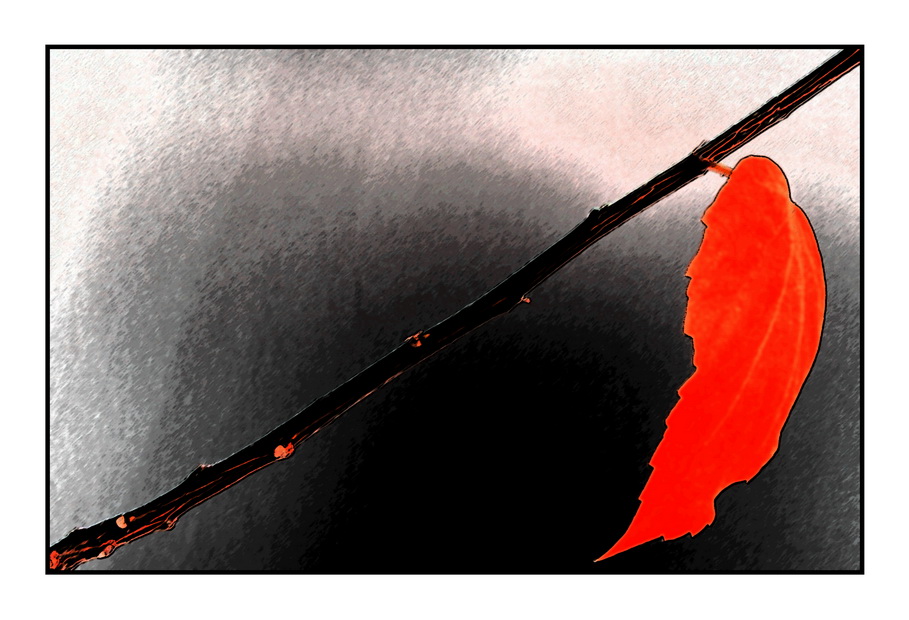 Leaf.