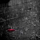 Leaf in the rain