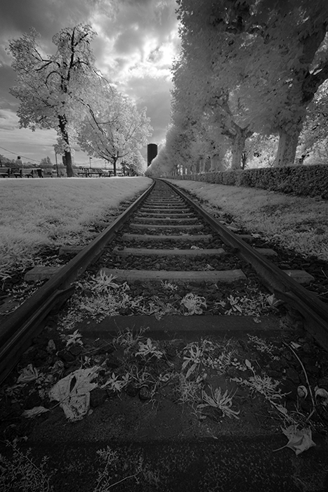 Leaf Leave Trackin.... von IR-Sinn 