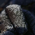 Leaf of a rose with white frost