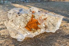 Leaf on the rocks