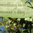 Leaf with Shadow Words