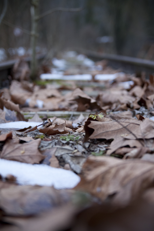 Leafs&Rails