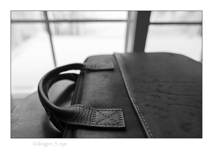 Leather Case 