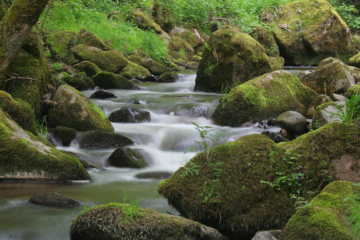 l'eau calme