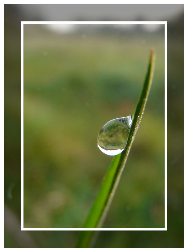 L'eau c'est la vie